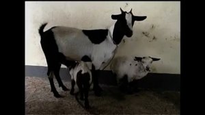 Outcomes Elementary - Video 3 - Photo Camp