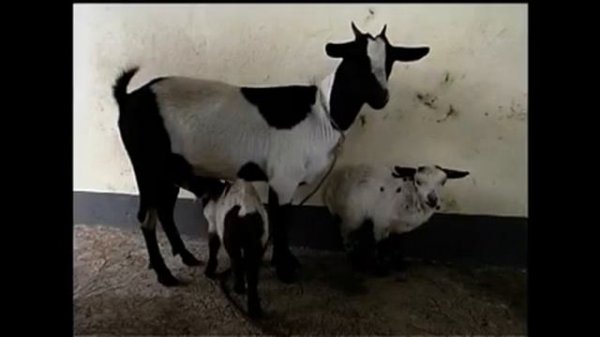 Outcomes Elementary - Video 3 - Photo Camp