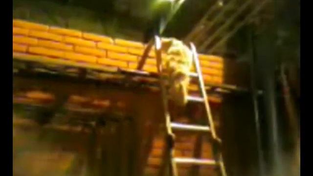 Кот поднимается по лестнице / Guile Theme Goes With Everything - Cat Climbs On Ladder