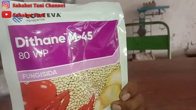 Dithane M-45 80 WP Untuk Mengatasi Bercak Dan Busuk Daun смотреть онлайн