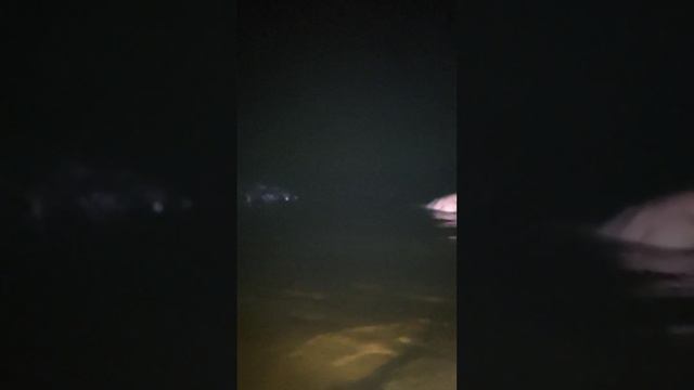 Ночное плавание в речке#закляемся ночью#ночной морж смотреть онлайн