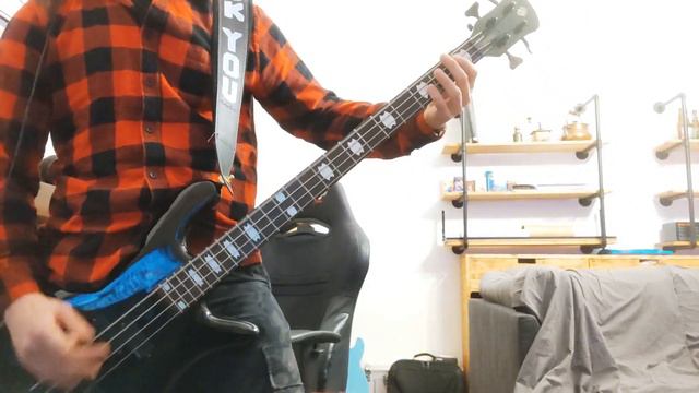 Pantera - Slaughtered (Bass Cover) смотреть онлайн