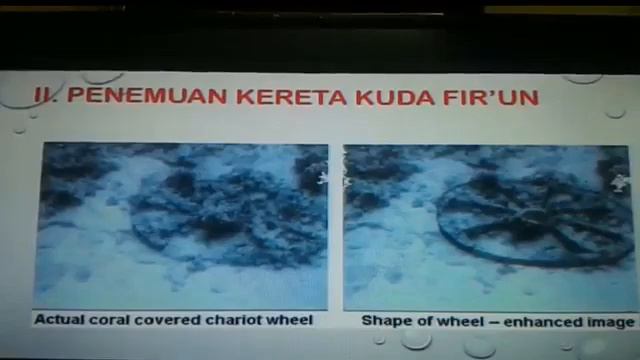 82. MUKJIZAT SAINTIFIK AL-QURAN : Nisbah Keluasan Daratan Berbandingan Dengan Keluasan Lautan