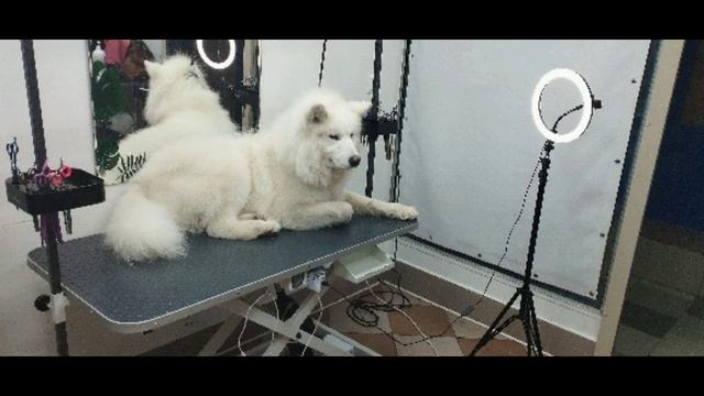 Комплексный уход. смотреть онлайн
