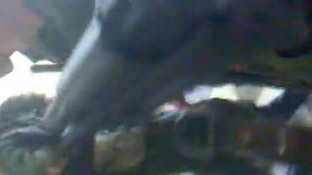 духи тупят, деды смекнули!!!! АРМИЯ смотреть онлайн