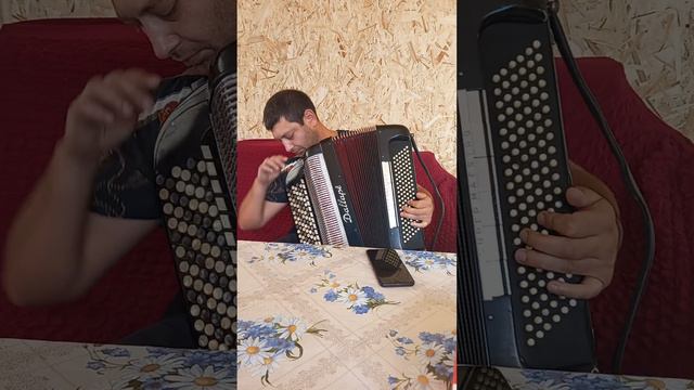 мой брат золотой играет на баяне смотреть онлайн