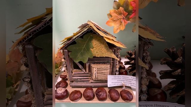 Выставка поделок из природного материала «Осенняя сказка» смотреть онлайн