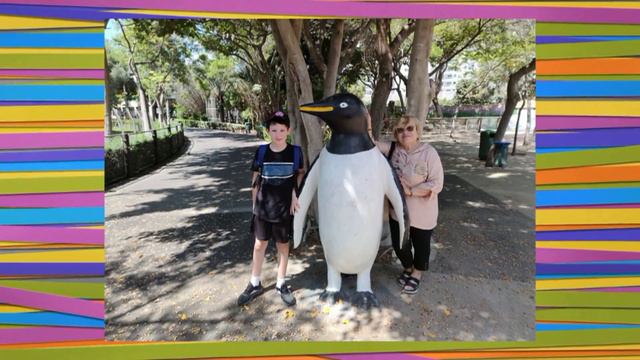 ЗООПАРК. ПТИЦЫ, ЗВЕРИ, КРАСОТА! смотреть онлайн