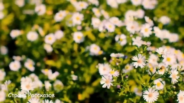 Сирота умоляла незнакомку забрать себе малыша, но чуть не потеряла дар речи от ответа... смотреть онлайн