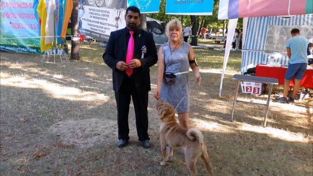 Трош, с днем рождения! смотреть онлайн