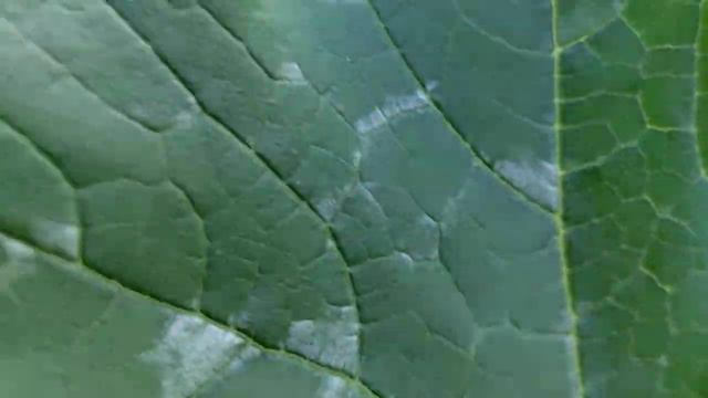 Подготовка полным ходом... смотреть онлайн