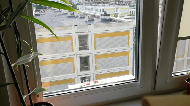 Ворон Ванька смотреть онлайн