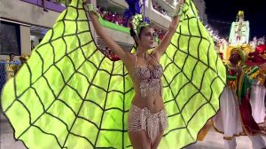 Карнавал в Рио-де-Жанейро 2011 (4)