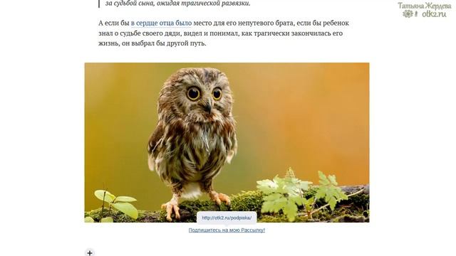 Редактор Статей VK Вконтакте. Как подключить Закладки смотреть онлайн