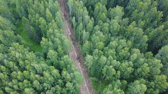 Жукопа, дорога от делянки смотреть онлайн