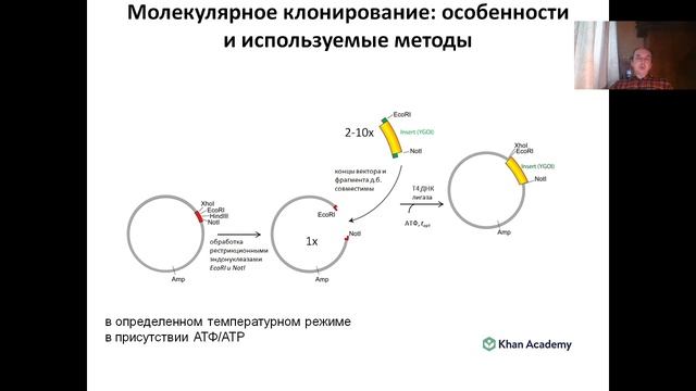 Лекция 10 (2023) Молекулярное клонирование.