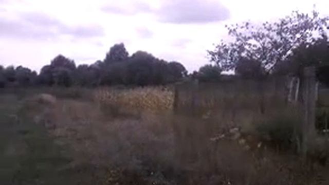 Земельный участок на продажу смотреть онлайн