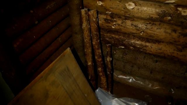 Землянка #4 / Внутреннее обустройство землянки. смотреть онлайн