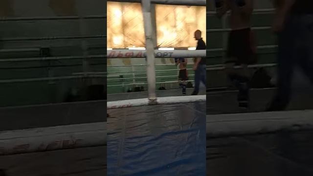 Соревнование Кинг бокс смотреть онлайн