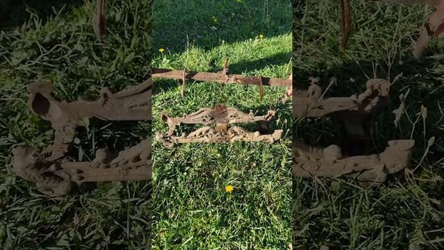 Как и чем открутить ржавый болт - Восстанавливаем старые весы - нарезаем новую резьбу смотреть онлайн