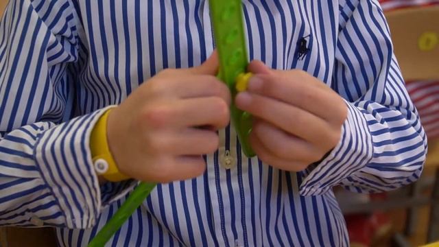 Один день из жизни ребенка в саду смотреть онлайн