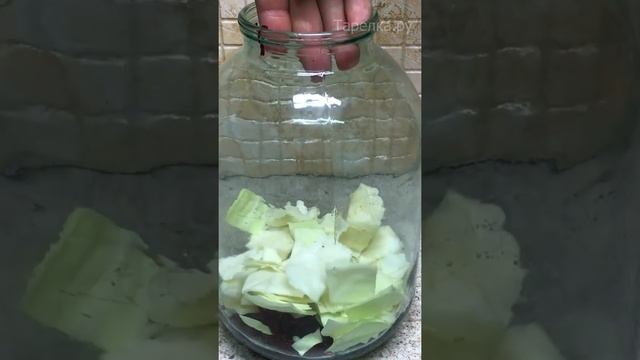 КАПУСТА ПЕЛЮСТКА,БЫСТРОГО ПРИГОТОВЛЕНИЯ смотреть онлайн