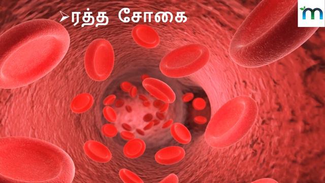 வெங்காயத்தை பச்சையாக சாப்பிட நன்மைகள் I Health Benefits of eating raw onion Tamil vengayam uses смотреть онлайн