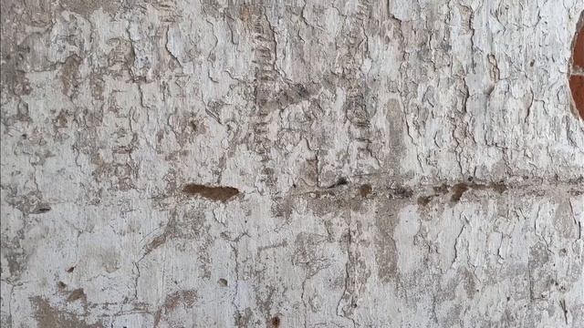 ЗА ВОДОЙ В СОСЕДНЕЕ СЕЛО. ЗАБРОШЕННАЯ ЦЕРКОВЬ. смотреть онлайн