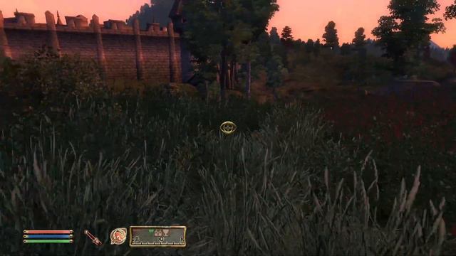 Скучная работа частным детективом | The Elder Scrolls IV: Oblivion #2 смотреть онлайн