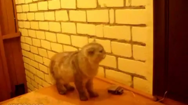 Звонок смотреть онлайн