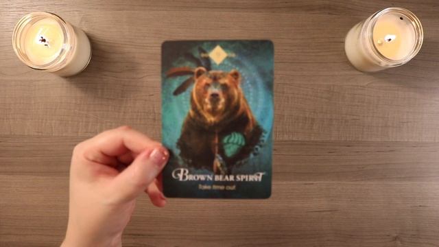 Process the Information | December 15th Daily Oracle Card Reading смотреть онлайн