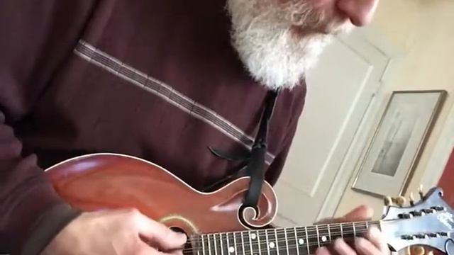 Beatles “Because” on Gibson F2 Mandolin смотреть онлайн