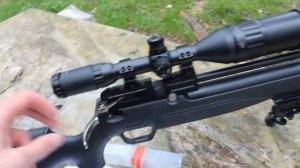 Небольшой обзор моей винтовки kral puncher maxi 3