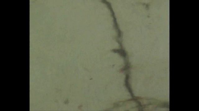 Дима.mp4 смотреть онлайн