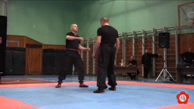 23.11.2013 Вин Чунь, форм и композиция по форме "Тигр". смотреть онлайн