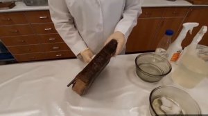 Основы реставрации книг и листовых материалов