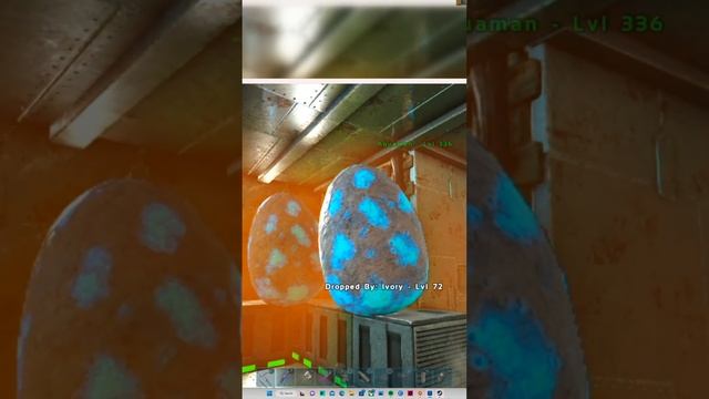 My next batch of monsters giga eggs #crossclip #youtubeshorts #youtube #arksurvival смотреть онлайн