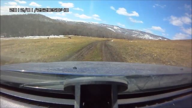 Кужановские Лиственницы - памятник природы | Башкирия 2014 смотреть онлайн