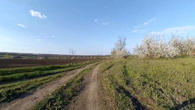 Велопокатушка в сады черешни смотреть онлайн