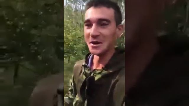 Верблюд в лесу смотреть онлайн