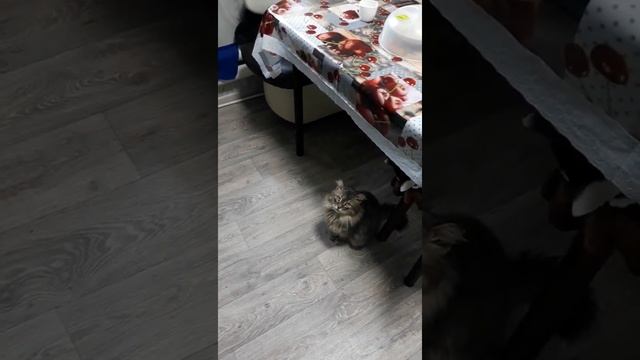 Некогда болеть. Наш 