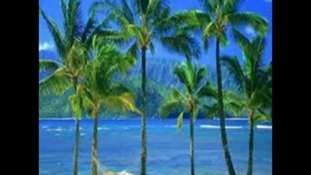 ANDRES BATISTA - PALMERAS (DANZON) смотреть онлайн