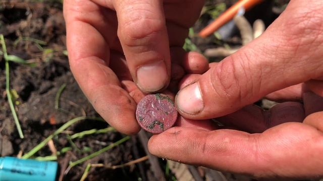 Шурф на древнем , сгоревшем урочище. Шурфа в глухом лесу. Поиск клада на пропавшей деревне.
