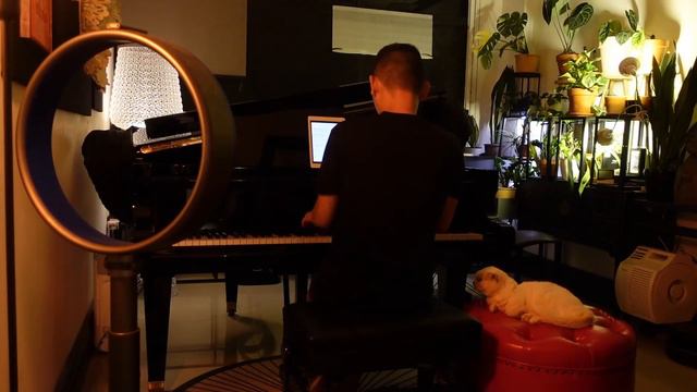 Ave Maria By Vavilov - Caccini | Piano Cover | C. Bechstein 167 смотреть онлайн