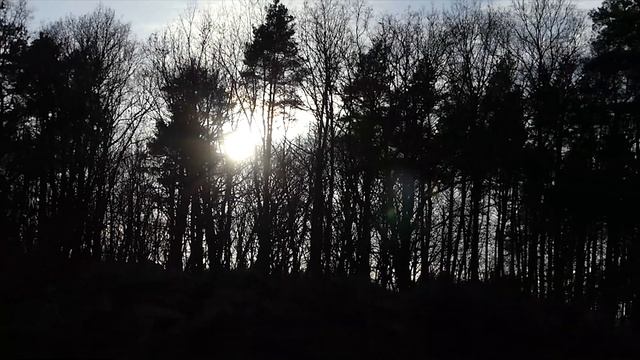 Test Nowego Aparatu. /Lumix Panasonic FZ300 / смотреть онлайн