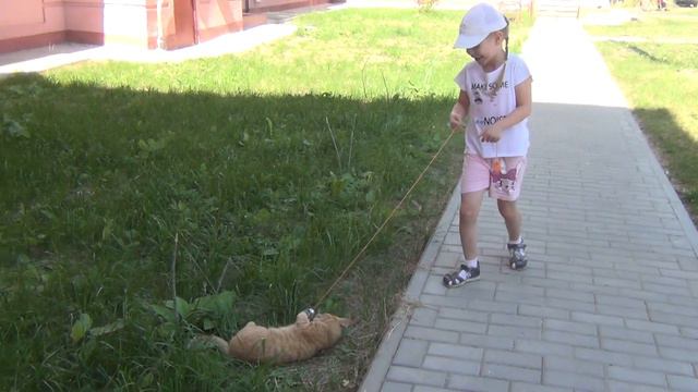Ева играет с котом Рыжиком.(соседский кот)