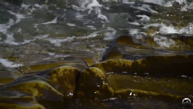 Бухта стеклянная смотреть онлайн