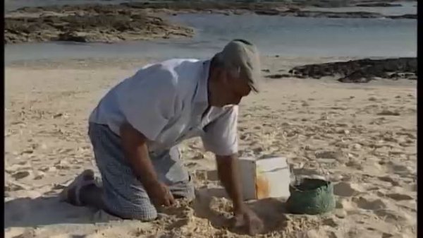 Fernando, PESCADOR ARTESANO de LA VIEJA. Técnica tradicional para la pesca de este pez | Documental
