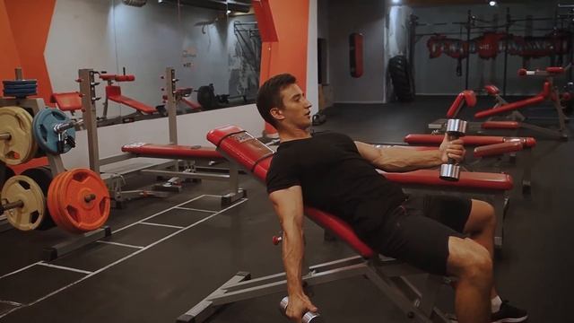 163 отведение гантелей по полуоси на низ грудных мышц лежа смотреть онлайн