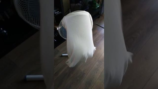 Сухая футболка за 5 минут